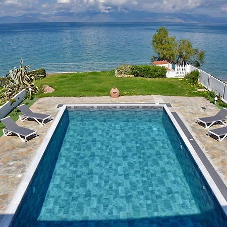 Antorina Beachfront Villas With Private Pools Kamari  エクステリア 写真